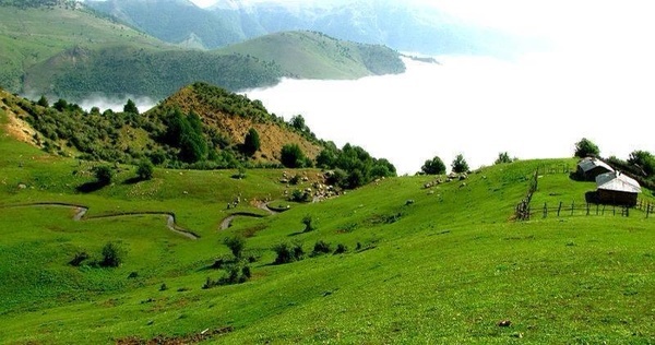 برگزاری جشنواره فیلم سبز ایران در شهرهای استان  اردبیل