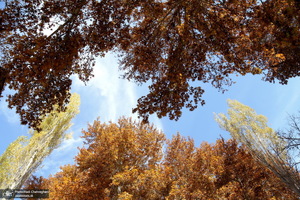 طبیعت پاییزی روستای اَوِل قم