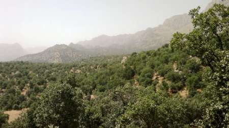 گازرسانی به روستاهای سلسله برای جلوگیری از تخریب جنگل ها