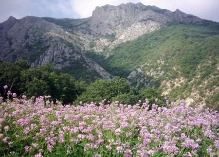 خراسان شمالی با صدای پای بهار همسو شده و آماده میزبانی است