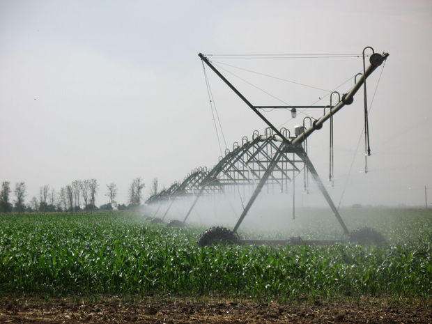 ۹۰ درصد اراضی کشاورزی همدان به سیستم‌های نوین آبیاری مجهزند