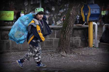 فروش ماهی قرمز به نام کودکان کار و دور از چشم ناظران