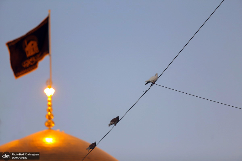 حال و هوای حرم مطهر امام رضا(ع) در روزهای پایانی ماه صفر -1