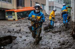 منتخب تصاویر امروز جهان- 14 تیر 1400