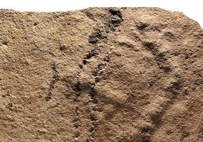  کشف قدیمی ترین جاپای جهان + عکس