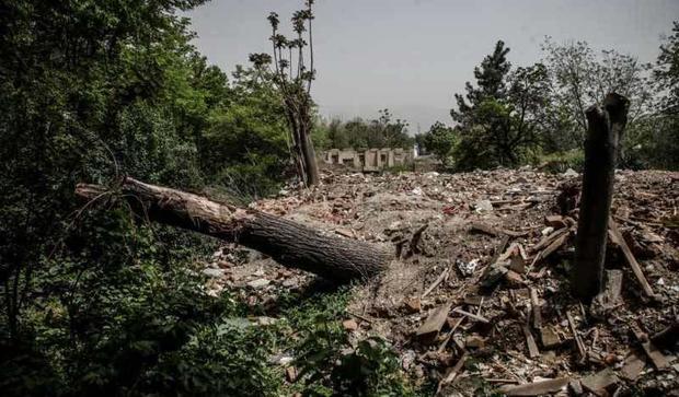 جزئیات تخریب باغ های پایتخت به گواه آمار
