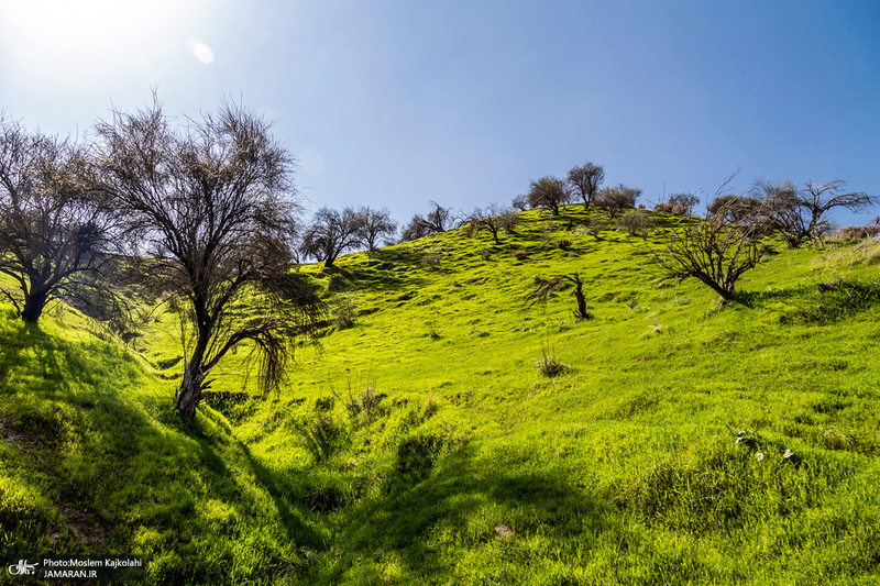 طبیعت بکر و زیبای«کفشکنان»