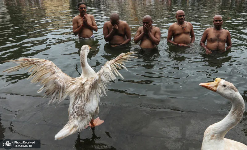 منتخب تصاویر امروز جهان - 4 مهر 1401