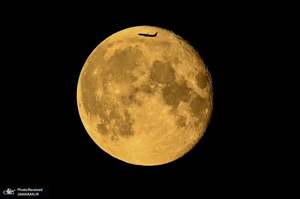 منتخب تصاویر امروز جهان- 5 مرداد 1400