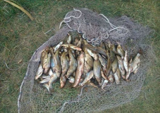 صیادان ماهی در لرستان دستگیر شد
