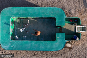 منتخب تصاویر امروز جهان - 6 اسفند 1403