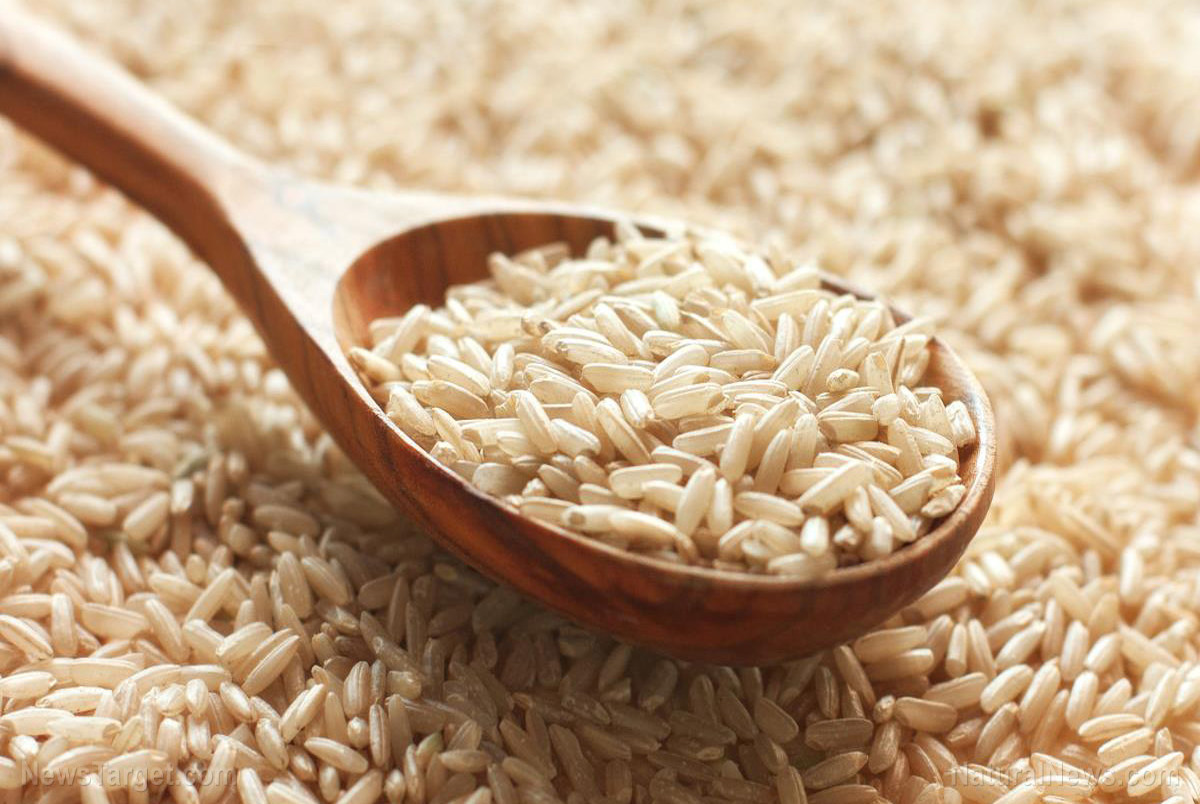 فواید جالب برنج قهوه‌ای برای مغز