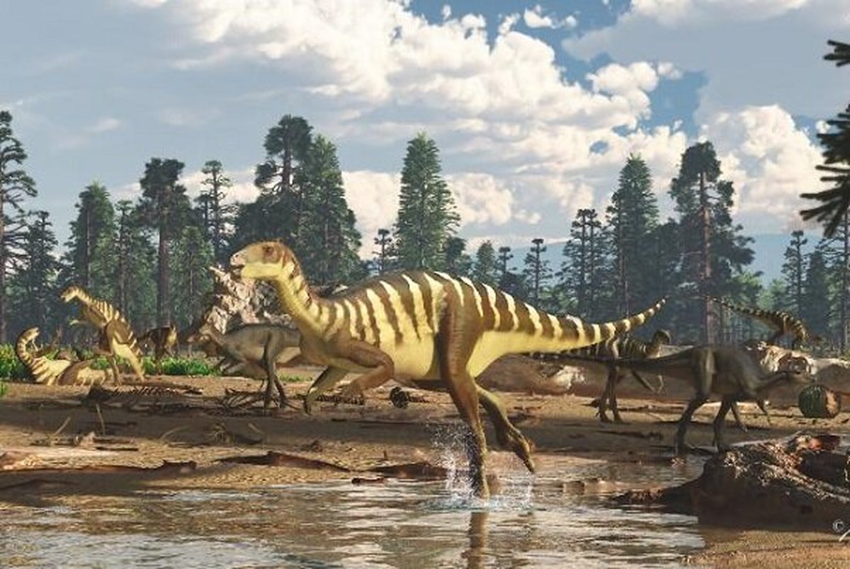  فسیل ۱۲۵ میلیون ساله دایناسور در استرالیا کشف شد