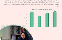 بررسی تحولات جامعه زنان ایران (امور اقتصادی و معیشتی)