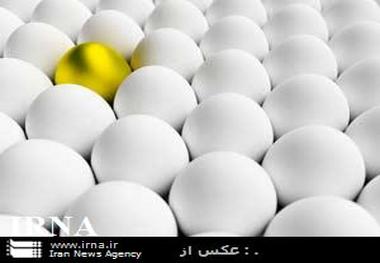 قیمت تخم مرغ به کمتر از قیمت مصوب رسیده است ذخیره سازی مناسب برای میوه شب عید