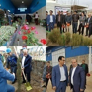 درختکاری در شرکت کانه آرایی آریا   روز کاشتن صداقت در هستی