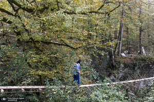 نمک‌آبرود / نمک آبرود