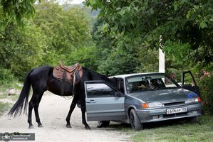 منتخب تصاویر امروز جهان- 4 تیر 1400
