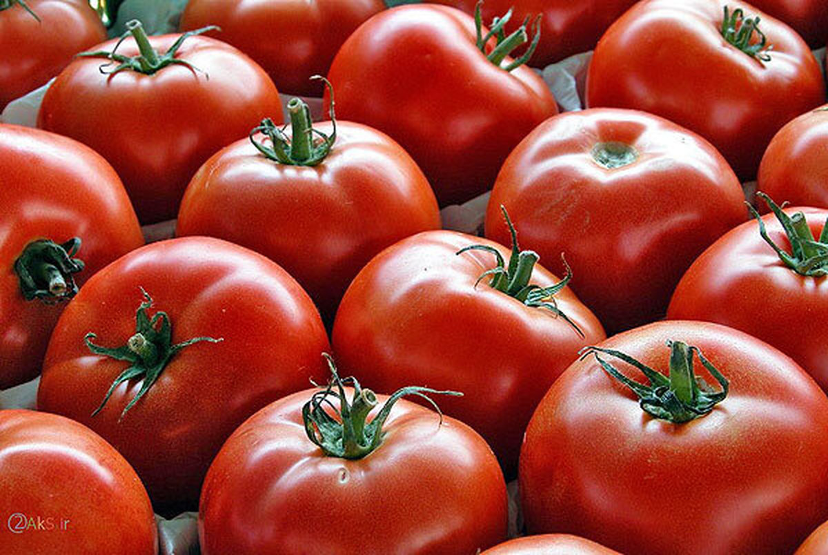 افزایش قیمت گوجه فرنگی و پیاز مقطعی است