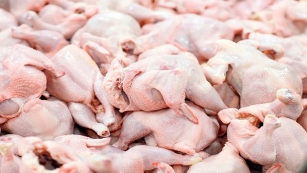 تصمیم دولت برای سامان دادن به بازار مرغ