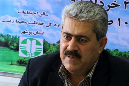 مدیرکل محیط زیست بوشهر:صنایع بزرگ این استان آنلاین رصد می شود