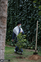 کاشت دو نهال میوه در روز درختکاری توسط رهبر معظم انقلاب