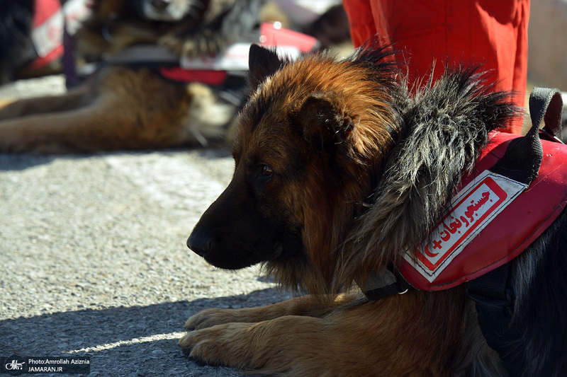 آئین آغاز طرح ملی خدمات نوروزی جمعیت هلال احمر در جوار حرم مطهر امام خمینی (س)
