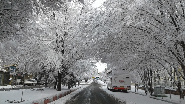 بارش سنگین برف تبریز را سفیدپوش کرد