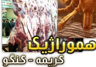 تب کریمه کنگو در خوروبیابانک مشاهده نشده است