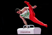 ملی پوش ژیمناستیک ایران در یک قدمی المپیک
