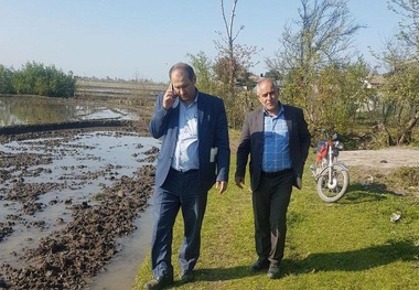 نهرهای سه دهستان بخش مرکزی تالش لایروبی شد