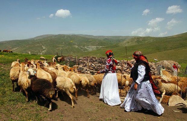 عشایر استان تهران در مناطق گرمسیر مستقر شدند