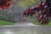 میزان بارش در میاندوآب 42 درصد افزایش یافت