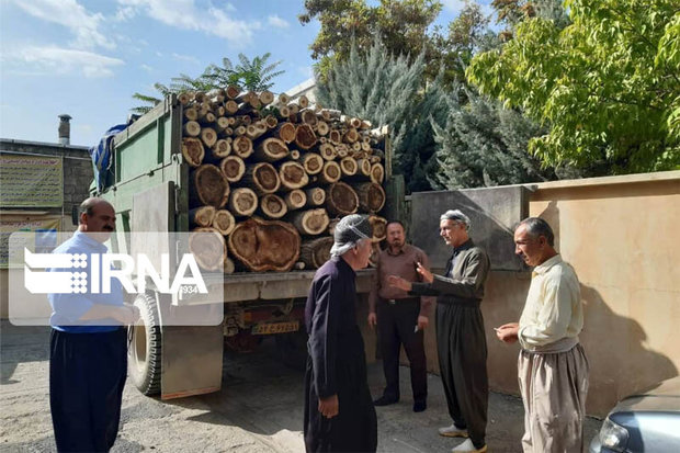 محموله ۶ تُنی چوب قاچاق در سقز کشف شد