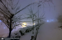 مه غلیظ موجب کاهش دید دربرخی نقاط تهران شد + عکس