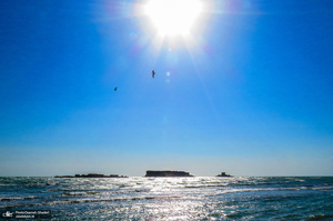 جزایر ناز یکی از عجایب هفتگانه قشم