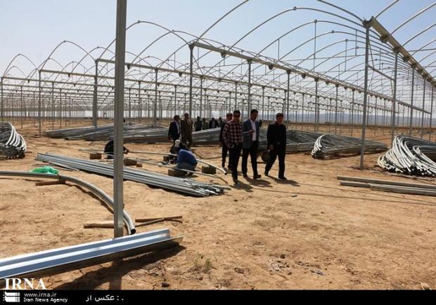 گذر از روستای حصارگلی،از دروازه کویر تاشهرک گل و گیاه پایتخت