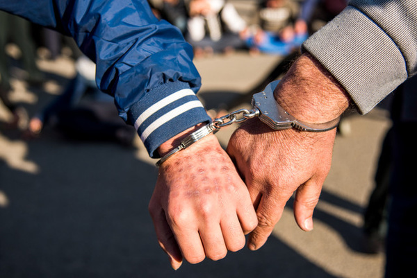 دستگیری دو سارق حرفه ای در بردسکن