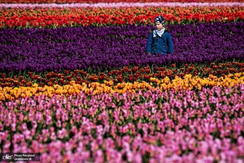 منتخب تصاویر امروز جهان- 6 اردیبهشت 1400