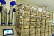راه اندازی سیستم نگهداری موش های آزمایشگاهی در موسسه رازی