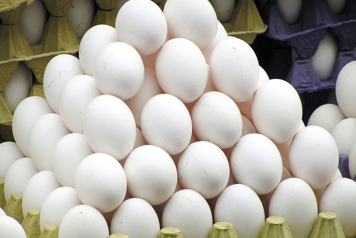 وعده مسئولان برای کاهش قیمت تخم مرغ محقق نشد