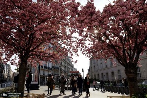 منتخب تصاویر امروز جهان- 20 فروردین 1400