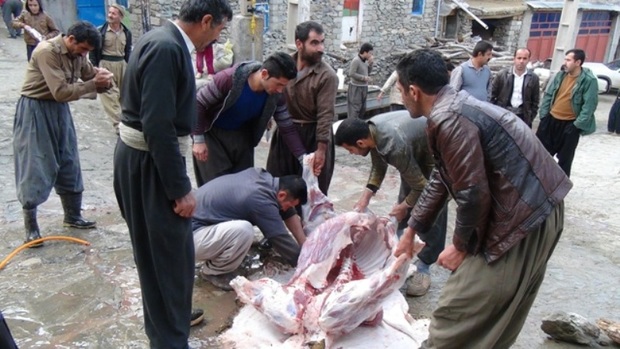 آیین ذبح قربانی در 100 روستای کردستان برگزار می شود