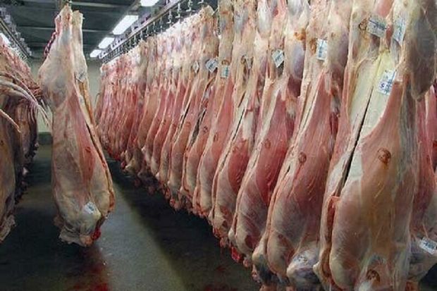 شهروندان گوشت قربانی را ۲۴ ساعت در یخچال نگهداری کنند