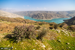 طبیعت بکر و زیبای«کفشکنان»