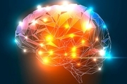 مغز مجازی برای اولین بار ساخته شد!

