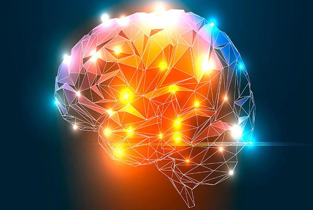 مغز مجازی برای اولین بار ساخته شد!
