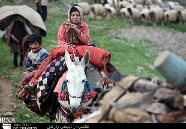 250 میلیارد تومان مالیات ارزش افزوده به عشایر تعلق گرفت