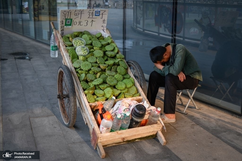 منتخب تصاویر امروز جهان- 17 مرداد 1400