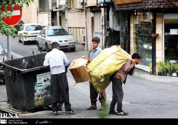 زباله گردهای بجنورد، طرح بازیافت طلای کثیف را ابتر گذاشتند